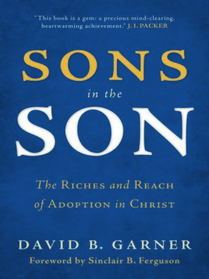 cover image of Sons in the Son